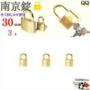  L[͑Sēy 싞 30 mm L[3{t 3 z ^J  cɓ  O Ȃ񂫂񂶂傤 V_[ phbN padlock ̌ At@싞1000-30K/A F̓싞 30m