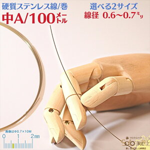 XeX ol  a 0.6`0.7mm 100m  d XeX SUS304 18Cr-8Ni I[XeiCg n j TX304 j 18N XeX j d sAm ol   100m S2TC