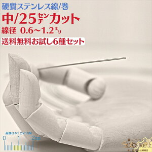 ol d XeX  a 0.6`1.2mm 25cm 6Zbg SUS304 18Cr-8Ni I[XeiCg n j TX304 j 18N XeX j d sAm ol   25cm 6Zbg