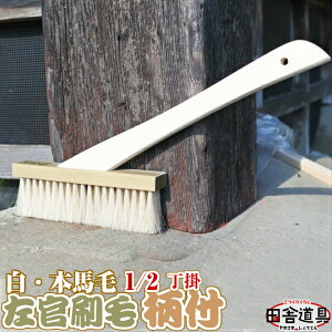 yѕt1/2|i18×3cmj nсiA3sjz  ш t nтIA܂݁AǂARV锒nуRN[gA^rdグɁI 