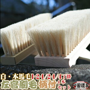 IS낦čшElyѕtn 4Zbgi2E1E1/2E1/4|Ae1{jz  ш t nтIA܂݁AǂARV锒