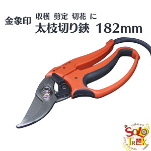 n  ؉  } ~j  182mmKтɋ Y XeXn | gp | Ɨp 