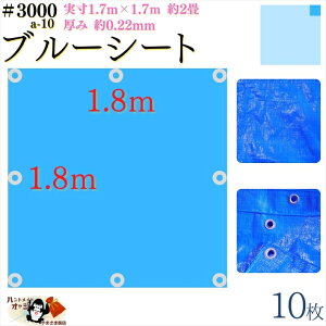 y u[V[g  h #3000 1.8×1.8 m 10 z  1.7×1.7m  0.22mm L  2 ގ PE |G` J[ u[  A~ ng t Ԋu 90cm×8