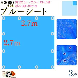 y u[V[g  h #3000 2.7×2.7 m 3 z  2.5×2.5m  0.22mm L  4 ގ PE |G` J[ u[  A~ ng t Ԋu 90cm×12