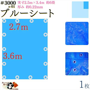 y u[V[g  h #3000 2.7×3.6 m 1 z  2.5×3.4m  0.22mm L  6 ގ PE |G` J[ u[  A~ ng t Ԋu 90cm×14