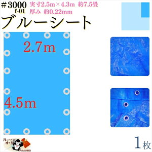 y u[V[g  h #3000 2.7×4.5 m 1 z  2.5×4.3m  0.22mm L  7 ގ PE |G` J[ u[  A~ ng t Ԋu 90cm×16