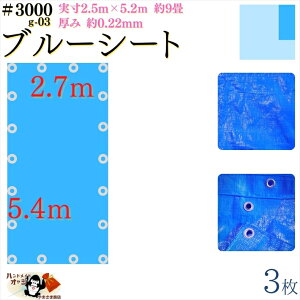 y u[V[g  h #3000 2.7×5.4 m 3 z  2.5×5.2m  0.22mm L  9 ގ PE |G` J[ u[  A~ ng t Ԋu 90cm×18
