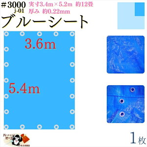 y u[V[g  h #3000 3.6×5.4 m 1 z  3.4×5.2m  0.22mm L  12 ގ PE |G` J[ u[  A~ ng t Ԋu 90cm×20