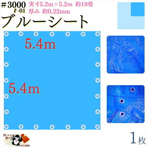 y u[V[g  h #3000 5.4×5.4 m 1 z  5.2×5.2m  0.22mm L  18 ގ PE |G` J[ u[  A~ ng t Ԋu 90cm×24