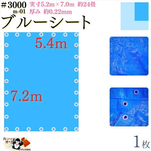 y u[V[g  h #3000 5.4×7.2 m 1 z  5.2×7.0m  0.22mm L  24 ގ PE |G` J[ u[  A~ ng t Ԋu 90cm×28