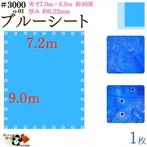 y u[V[g  h #3000 7.2×9.0 m 1 z  7.0×8.9m  0.22mm L  40 ގ PE |G` J[ u[  A~ ng t Ԋu 90cm×36