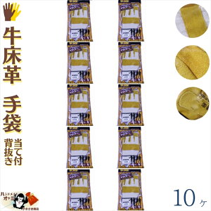 v  w F 1o  v ĕt t[TCY 