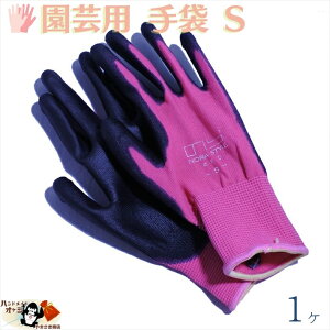 1̍ƂɍœK S w 1o STCY [ OK R[eBO |E^ ҂ݕ |GXe