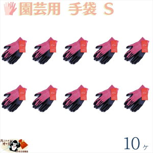 1̍ƂɍœK S w 10o STCY R[eBO |E^ ҂ݕ |GXe