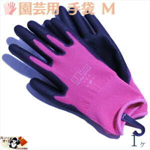 1̍ƂɍœK S w 1o MTCY [ OK R[eBO |E^ ҂ݕ |GXe