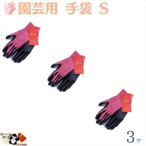 1̍ƂɍœK S w 3o STCY [ OK R[eBO |E^ ҂ݕ |GXe