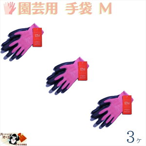 1̍ƂɍœK S w 3o MTCY [ OK R[eBO |E^ ҂ݕ |GXe