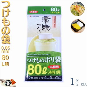 ̗p| 2×1 80 L p  0.04 mm 4 l ЕM p [ OK