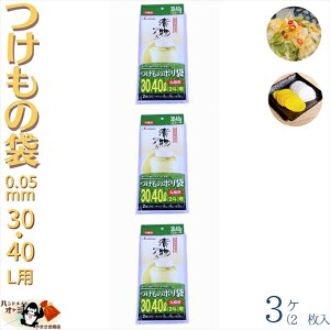 ̗p| 2×3 30 40 L p  0.04 mm 2 l ЕM p [ OK