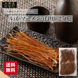 いかソーメン（得用）250g 【送料無料】いか 珍味 するめ おつまみ あたりめ スルメ