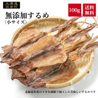 するめ 100g 【送料無料】 小サイズ スルメ 真いか スルメイカ おつまみ 珍味 あたりめ 不二屋 するめい…