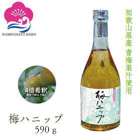 希釈用梅ドリンク 梅ジュース 梅ハニップ 4倍希釈 590g 熱中症対策 夏バテ防止 美肌 美容効果 疲労回復 umeboshi ハイボール かき氷シロップ おうちモクテル 青梅ジュース うめじゅーす 原液 紀州産青梅果汁使用 和歌山
