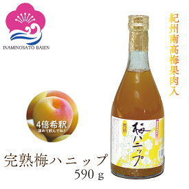 希釈用梅ドリンク 梅ジュース 完熟梅ハニップ 4倍希釈 590g 熱中症対策 夏バテ防止 美肌 美容効果 疲労回復 umeboshi ハイボール かき氷シロップ おうちモクテル 青梅ジュース うめじゅーす 原液 紀州産青梅果汁使用 和歌山