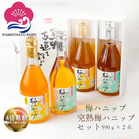 希釈用梅ドリンク 梅ジュース 梅ハニップセット 4倍希釈 590g 熱中症対策 夏バテ防止 美肌 美容効果 疲労回復 umeboshi ハイボール かき氷シロップ おうちモクテル 青梅ジュース うめじゅーす 原液 紀州産青梅果汁使用 和歌山