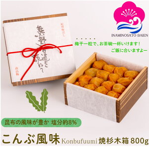 10/10 0̂̓|Cg5{I Mtg ~ ԕ 8 800g Đؔ IB썂~ ӂ Mtg 䒆  Ε  Mtg 蕨  蕨 ΂ a