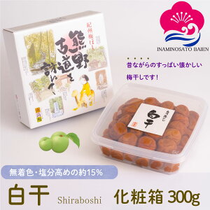 Mtg Y ~  15 300g ϔ IB썂~ ~ ς ̂Ȃ ӂ Mtg 䒆  Ε  Mtg 蕨  蕨 ΂ a̎R