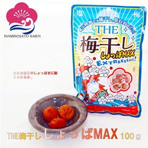 ^ׂI  hς~ THE ~MAX   20 100g ⋋ ~l⋋ MǑ΍ umeboshi
