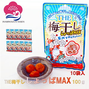 9/25 5̂̓|Cg5{I ^ׂI  hς~ THE ~MAX   20 1kg i100g×10j ⋋ ~l⋋ MǑ΍ umeboshi