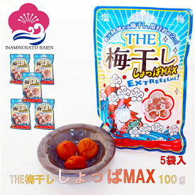 持ち運べる！ 個包装 超塩辛いしょっぱい梅干し THE 梅干ししょっぱMAX 白干 小袋 塩分約20％ 500g （100g×5） 塩分補給 ミネラル補給 熱中症対策 umeboshi