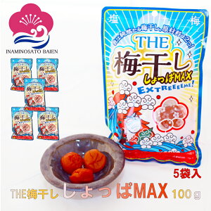 ^ׂI  hς~ THE ~MAX   20 500g i100g×5j ⋋ ~l⋋ MǑ΍ umeboshi
