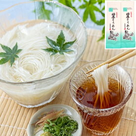 【320g】 稲庭 古来 そうめん 160g 2袋 極細 油 不使用 寒水 寒づくり 1，000円 ポッキリ ふるさと納税 返礼品 乾麺 ギフト 中元 歳暮