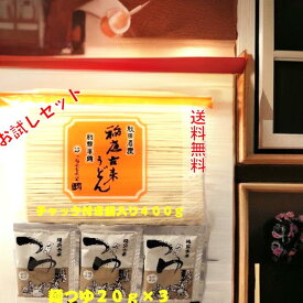 稲庭 うどん 稲庭古来うどん お試し チャック付き 400g 麺つゆ付き 秋田 日本三大うどん 伝統製法 手作り 名産品 ふるさと納税 返礼品 1，000円 ポッキリ ギフト 中元 歳暮