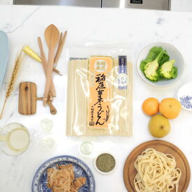 稲庭 うどん 国内産小麦 稲庭古来うどん 400g 秋田 日本三大うどん 伝統製法 手作り 名産品 ふるさと納税 返礼品 1，000円 ポッキリ 国産 麺 うどん 乾麺 ギフト 中元 歳暮