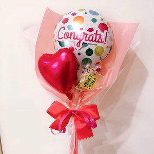 �~�j���b�Z�[�W�o���[���u�[�P (Congrats) �e�킨�j���E���\��E���Ǝ��E���w���E���a������