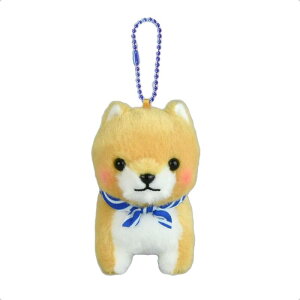 A~[Y ΎOZLMCY 704386