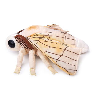 JCRʂ݃AȎJCRʂ݃Aȃ^b`\tg傫ȗ̂̂ᖍqcc