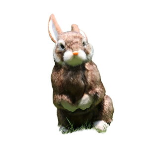 ETM ʂ e u A   Aj} G CeA   q v[g Mtg av[g NX}X j [sAi]