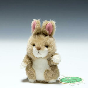 ̂ v`v`ǐX̂Ȃ ETM x[W ʂ 58442