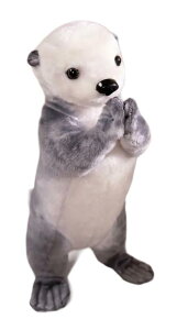 JE\  ʂ  Čߋ   CeAu Mtg 蕨