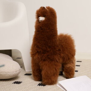 INJOIiCWCjʂ ApJ(B) VRApJt@[ 󏭐f ӂӂ G I[nhCh 킢 Mtg v[g