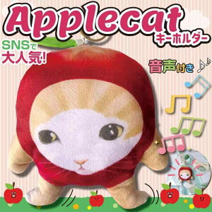 nbs[Lbg ʂ L~[ 񂲃Lbg tL[z_[ Zbg yL̂ʂ