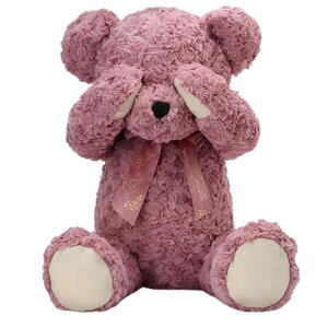 NASSIA ƂN} D efBxA ʂ ܂ 傫TCY  X  { a NX}X o^C ޏ v[g