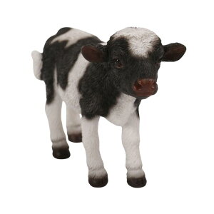 E[rA i~jj 10×3.6×7cm l` tBMA u Aj}  K[f  EV H16174