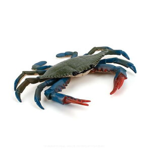 [L_R] ^Kj  KU~ Jj I C̐ tBMA f ~j`A u CeA RN^[ ͌^