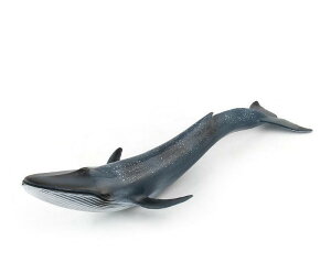 [L_R] ViKXNW {~ C̐ tBMA f ~j`A u CeA RN^[ ͌^