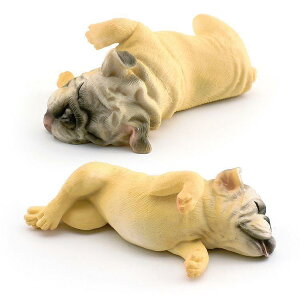 [L_R] t`uhbO   ~j`A tBMA u f CeA RN^[ ͌^